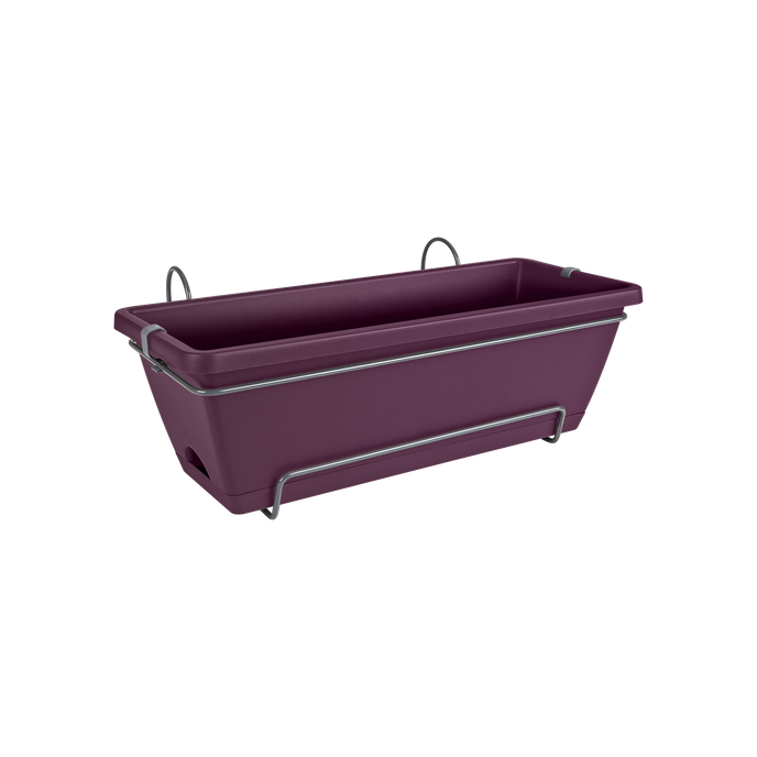 barcelona allin1 50cm maple purple